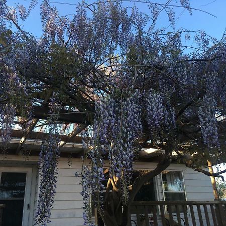 Wisteria Vine Cottage Monticello Bagian luar foto
